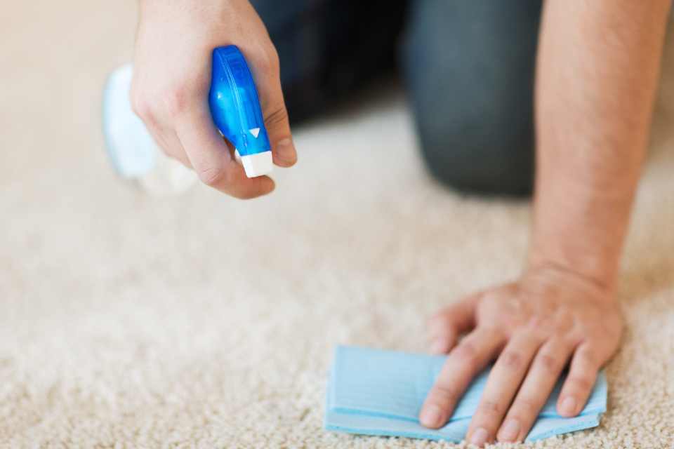 cleaning carpet with spray and cloth